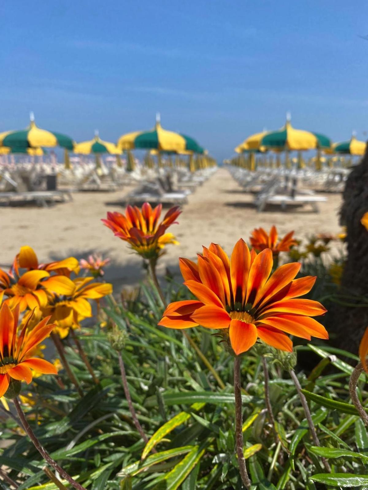 Rimini Bay Suites&Residence Zewnętrze zdjęcie